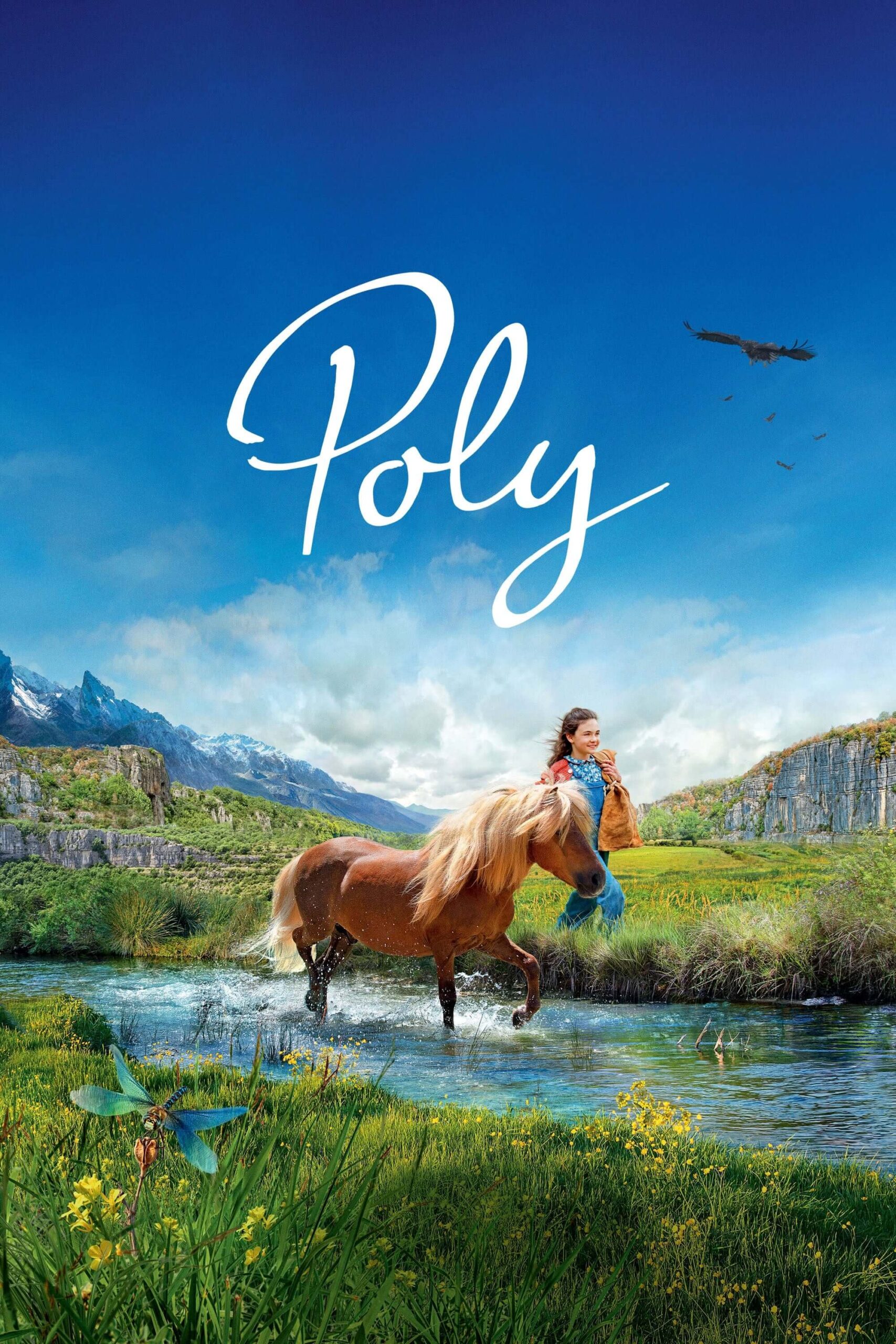 پالی (Poly)