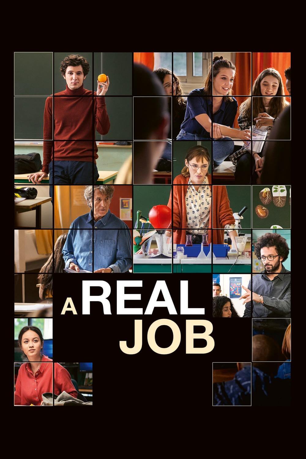 یک شغل واقعی (A Real Job)