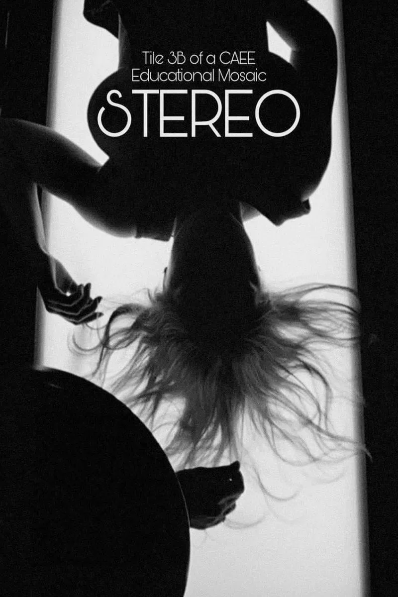 استریو (Stereo)