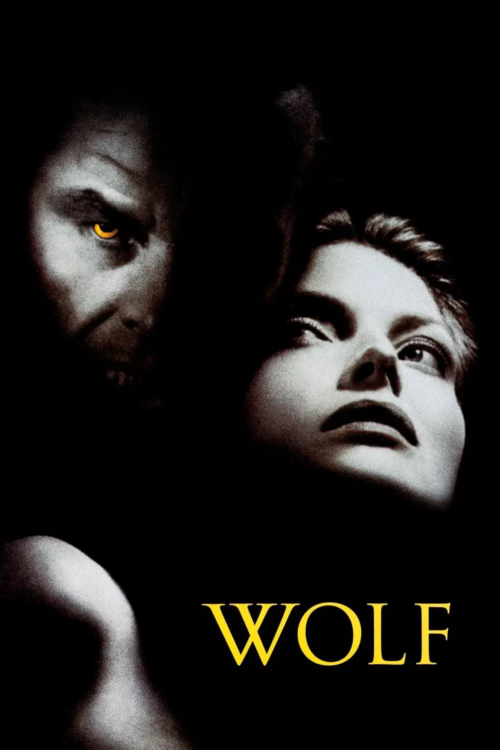 گرگ (Wolf)