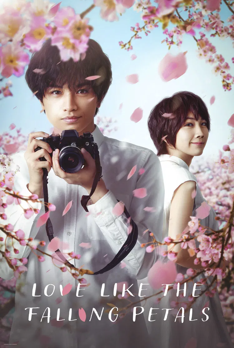 عشق مانند سقوط گلبرگ (Love Like the Falling Petals)