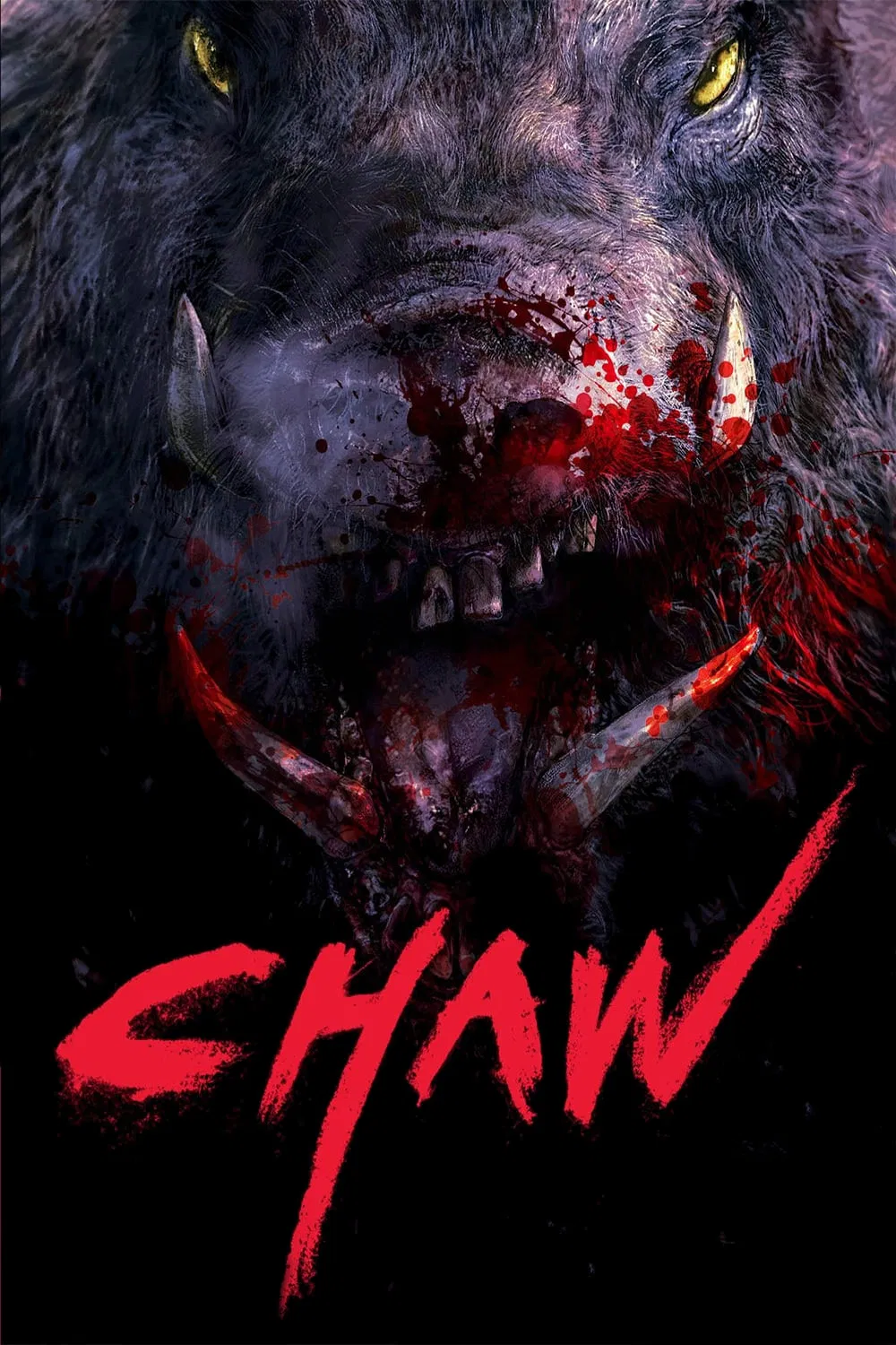گراز (Chawz)