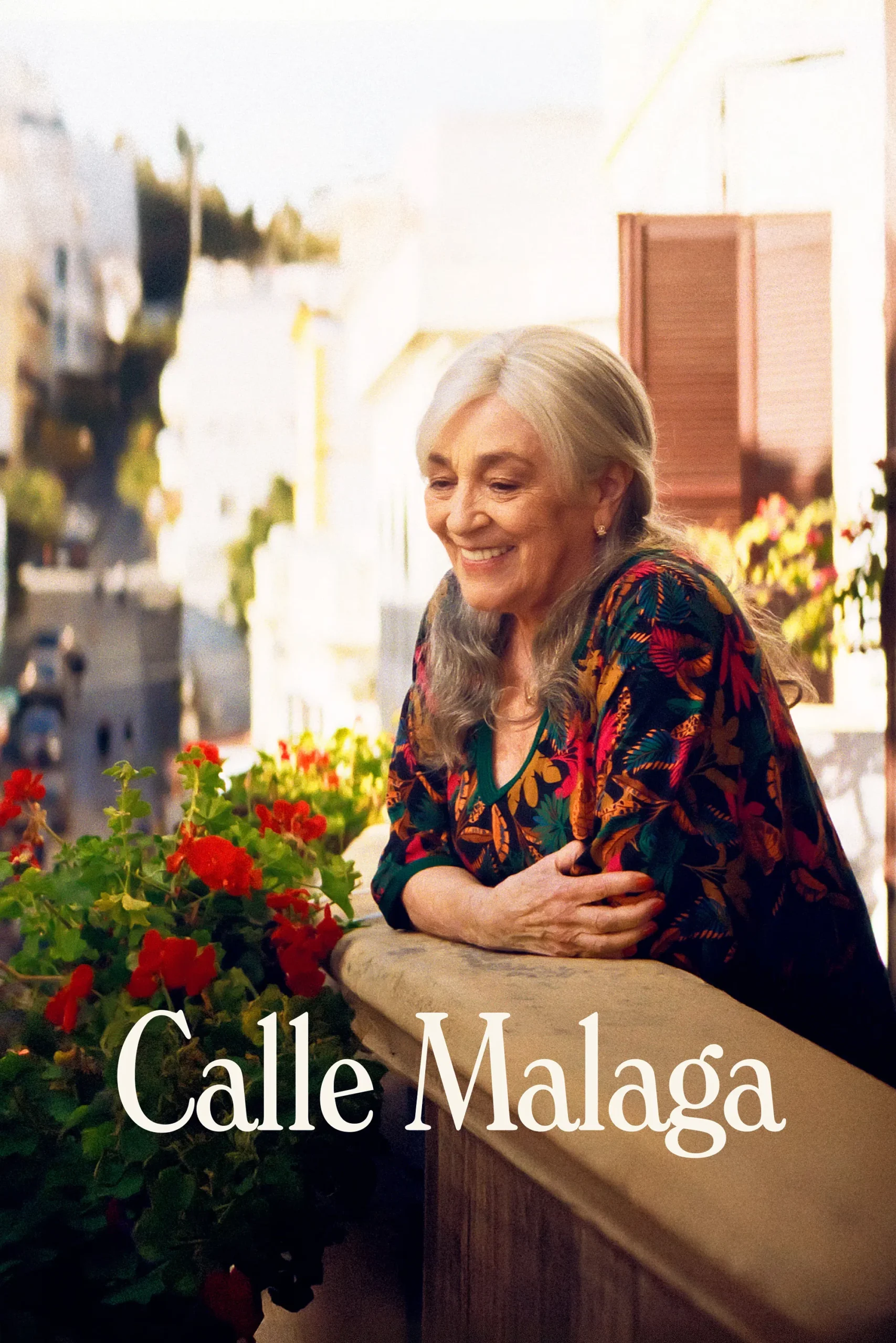خیابان مالاگا (Calle Málaga)