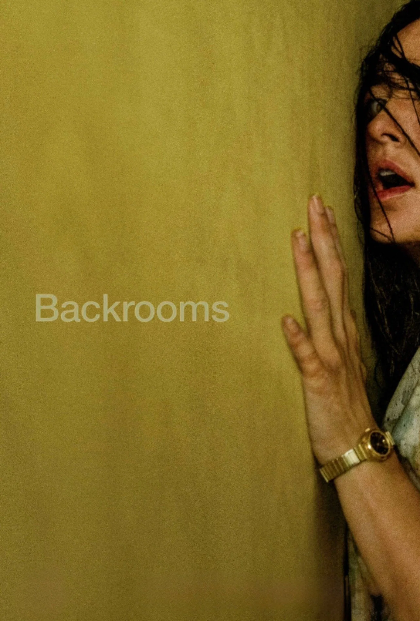 اتاق‌های پشتی (Backrooms)