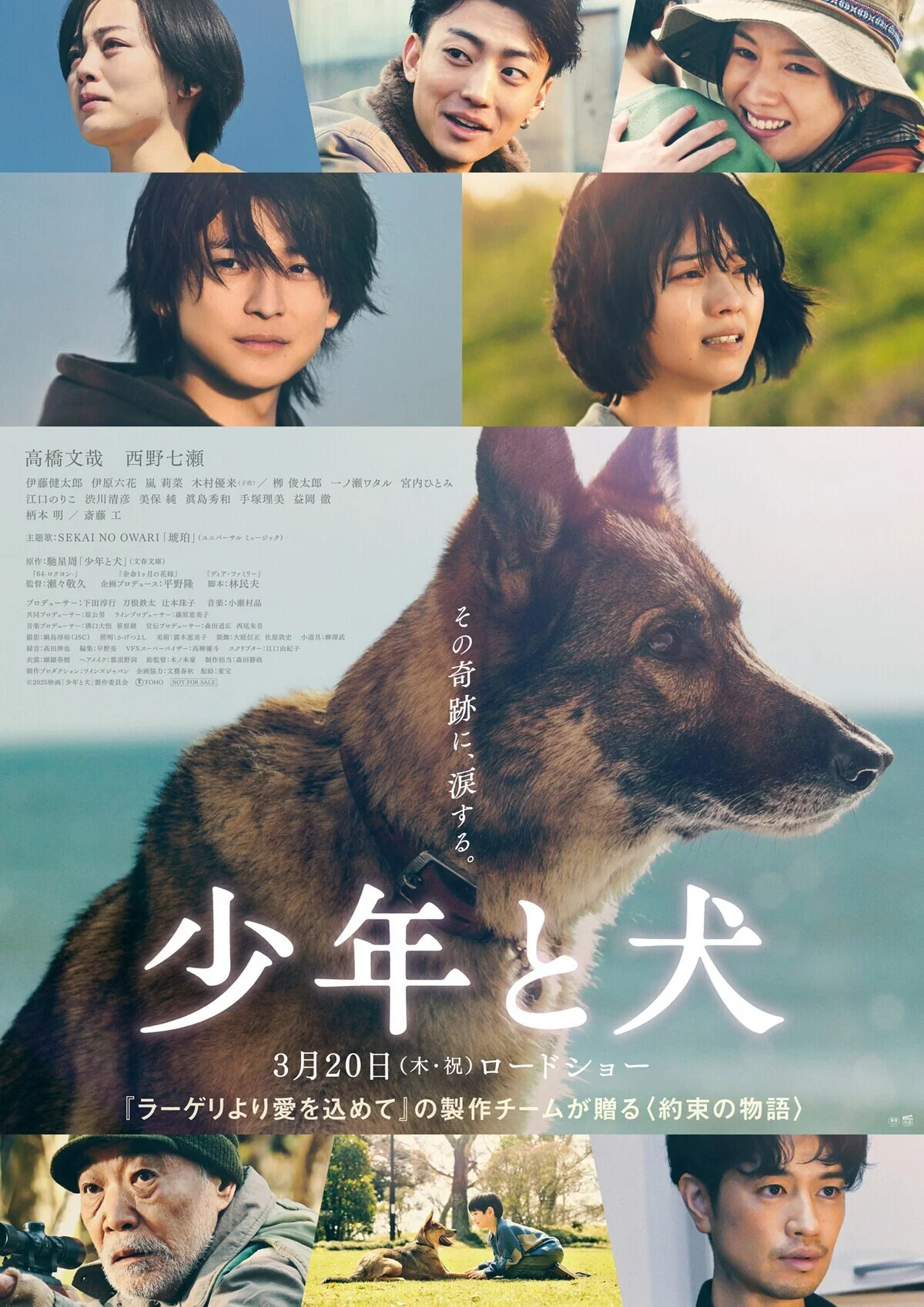 پسر و سگ (The Boy and the Dog)