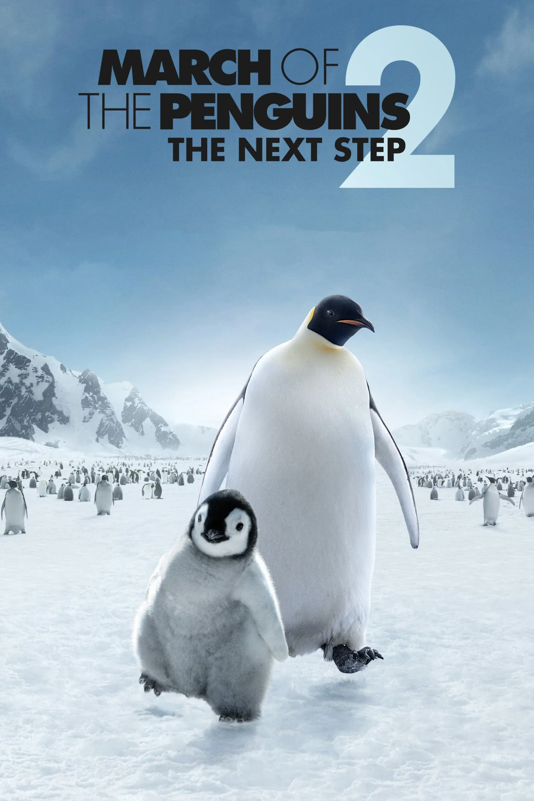 رژه پنگوئن‌ها ۲ (March of the Penguins 2: The Next Step)