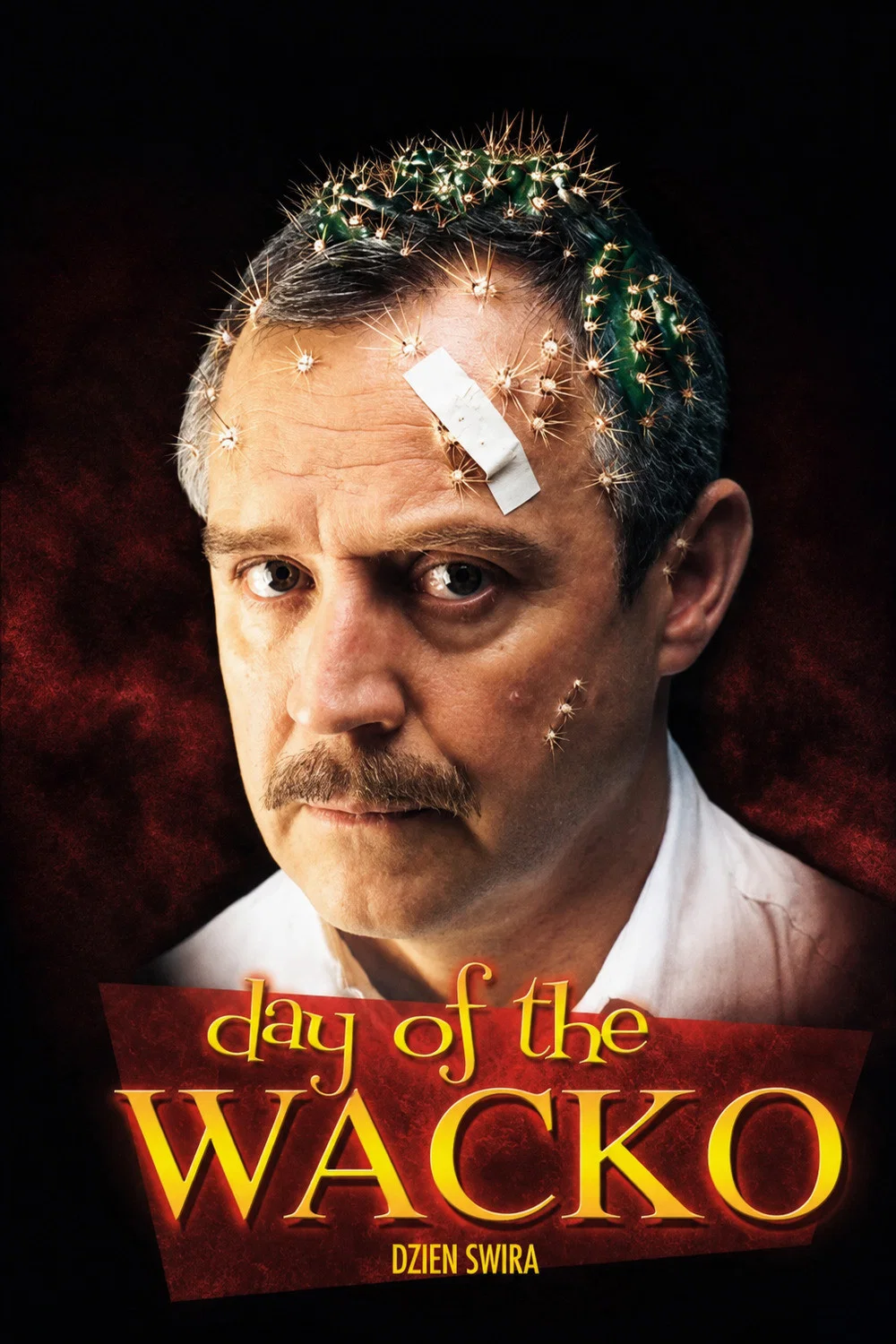 روز دیوانه (Day of the Wacko)