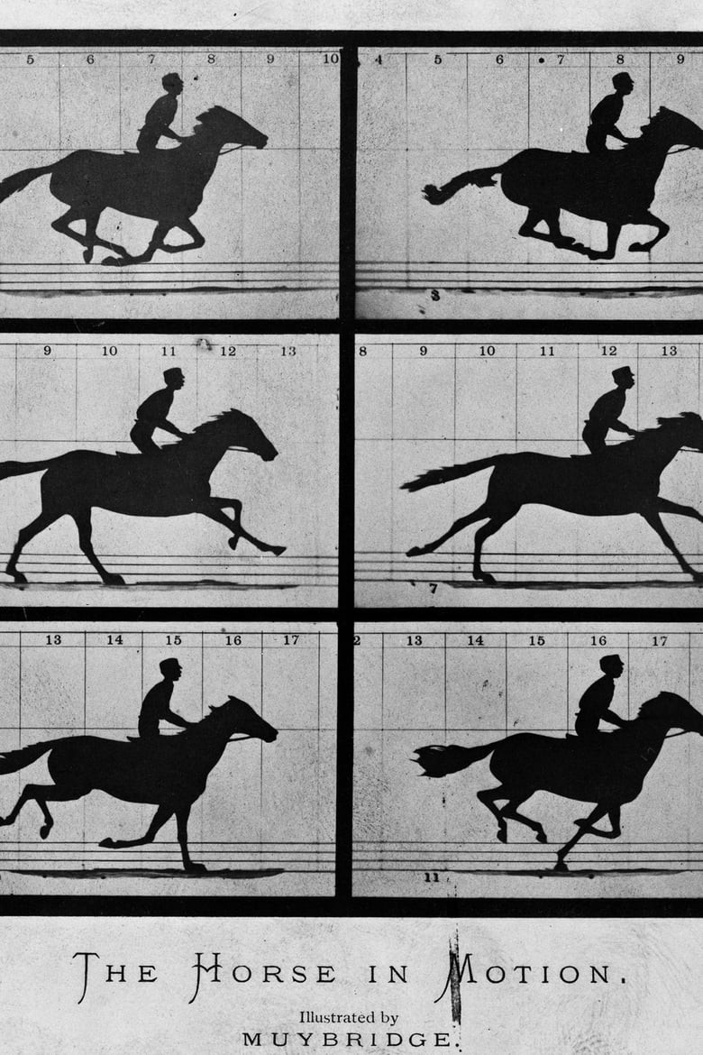 سالی گاردنر در تاخت و تاز (Sallie Gardner at a Gallop)