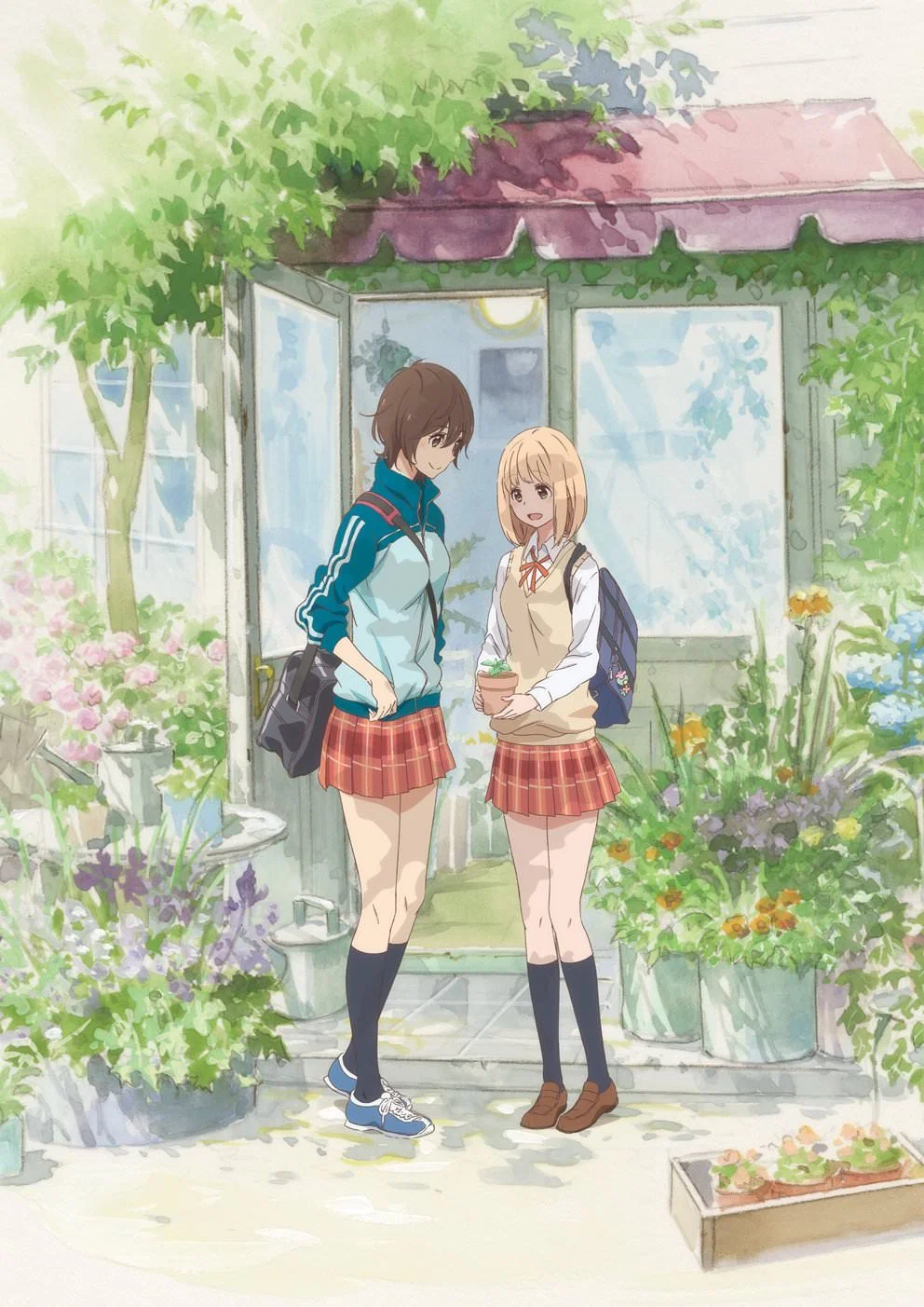 کاسه سان و افتخارات صبحگاهی (Kase-san and Morning Glories)