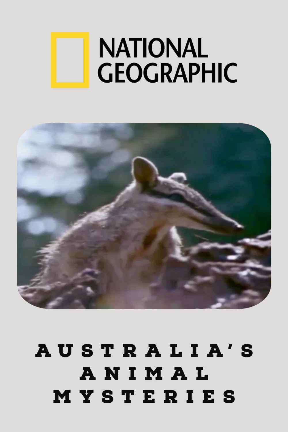 رازهای جانوران استرالیا (Australia’s Animal Mysteries)