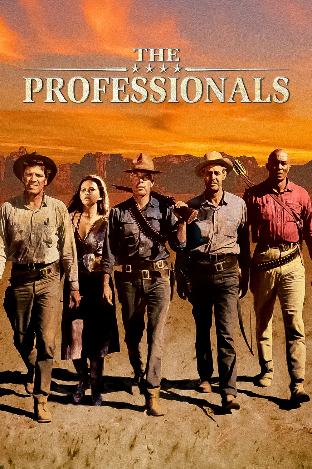 حرفه ای ها (The Professionals)