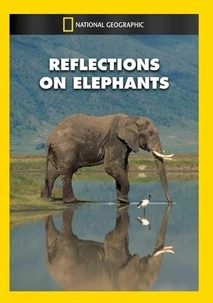 فیل ها (Reflections on Elephants)