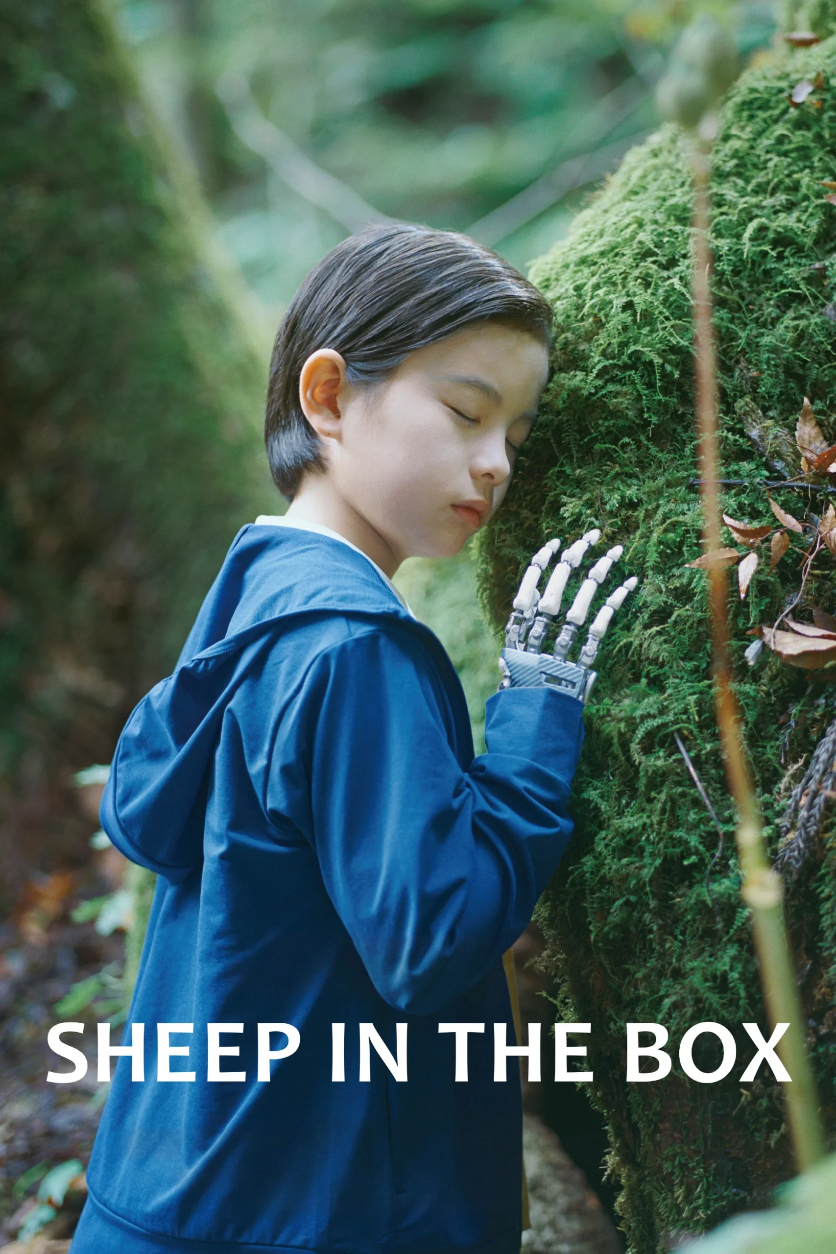 گوسفند در جعبه (Sheep in the Box)