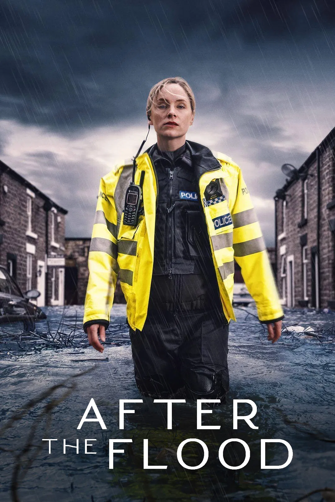 پس از سیل (After the Flood)