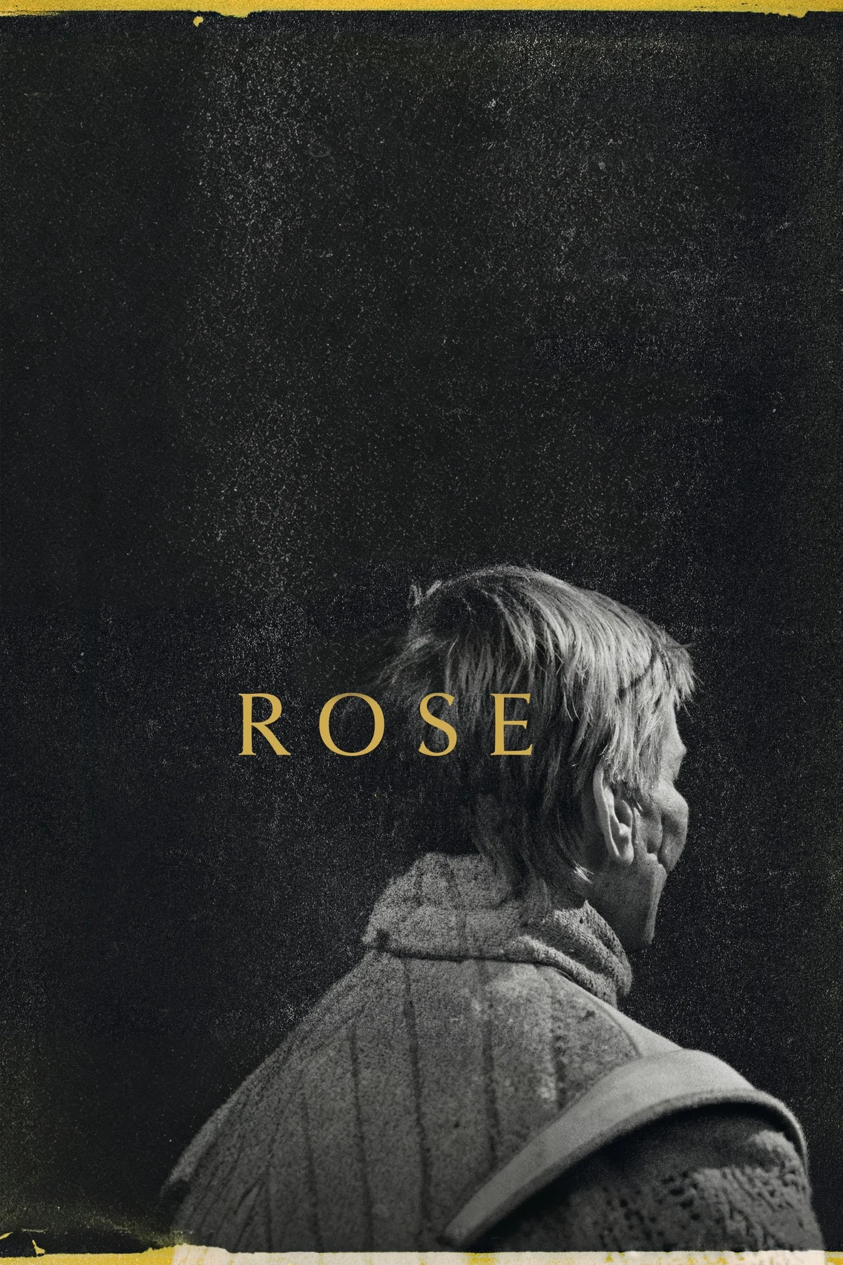 رز (Rose)