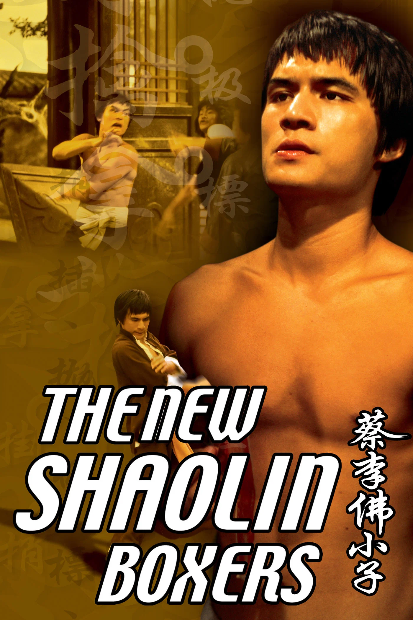 مبارزان جدید شائولین (The New Shaolin Boxers)