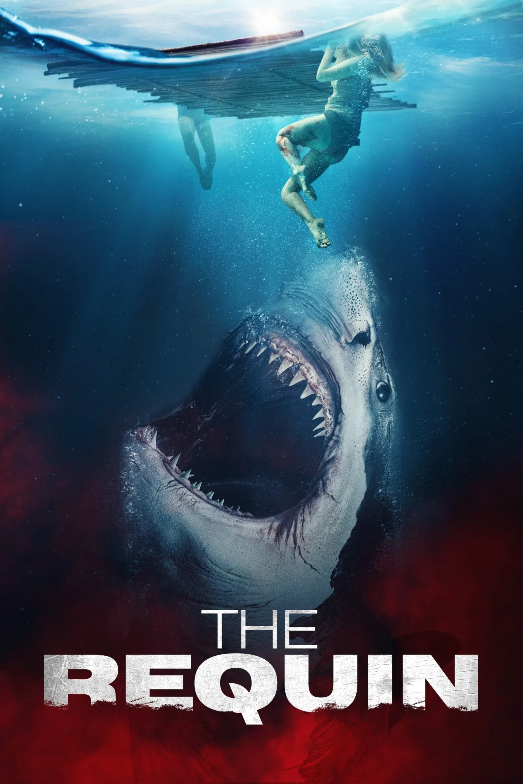کوسه (The Requin)