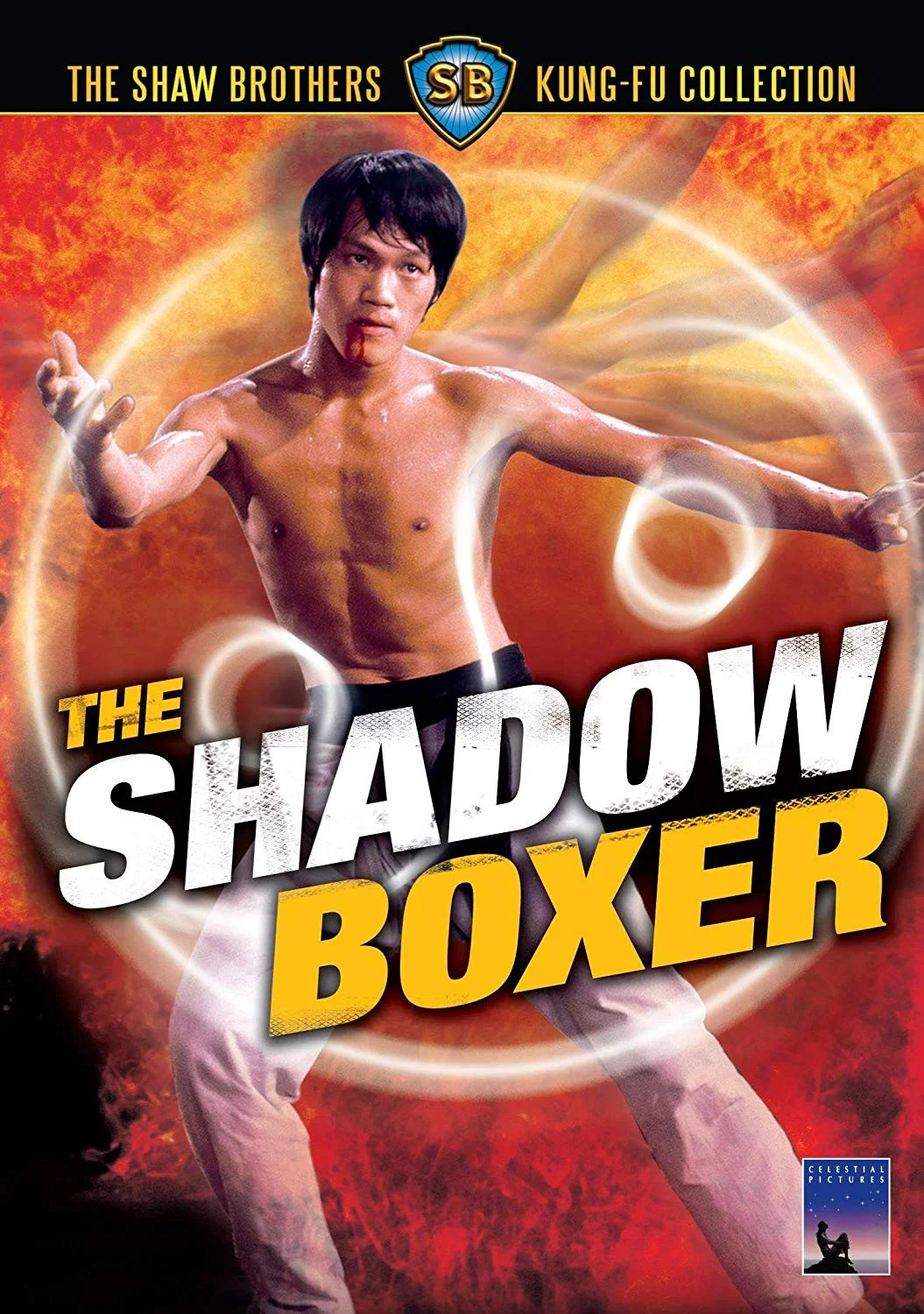 سایه مشت زن (The Shadow Boxer)
