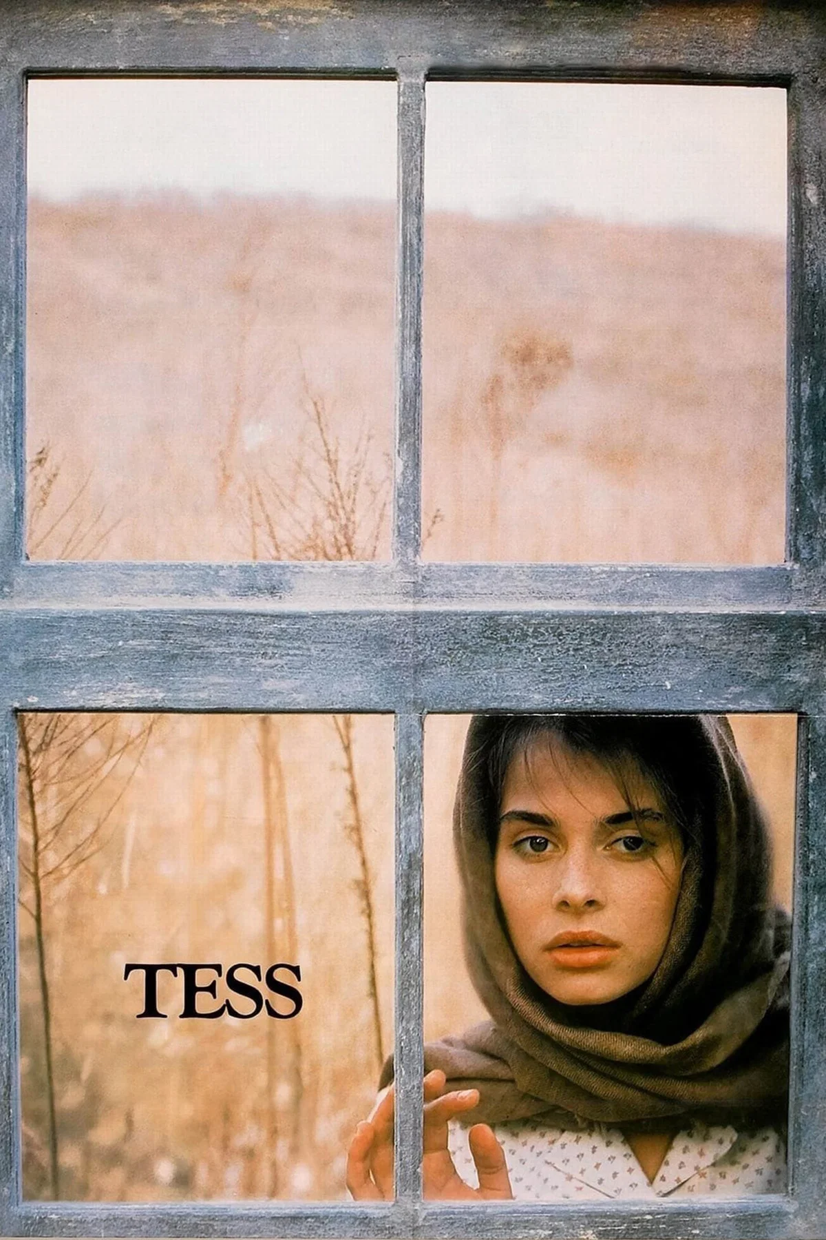 تس (Tess)