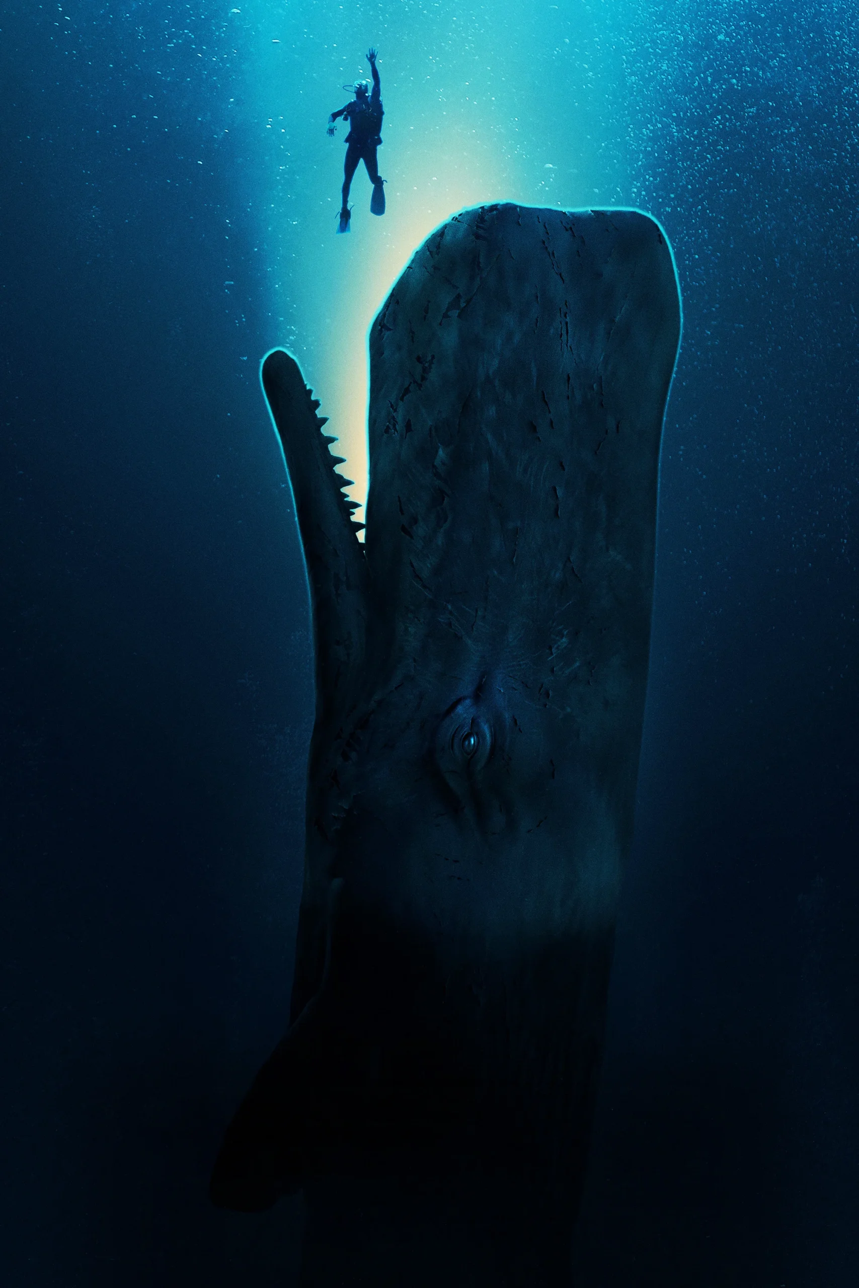 ویل‌فال (Whalefall)