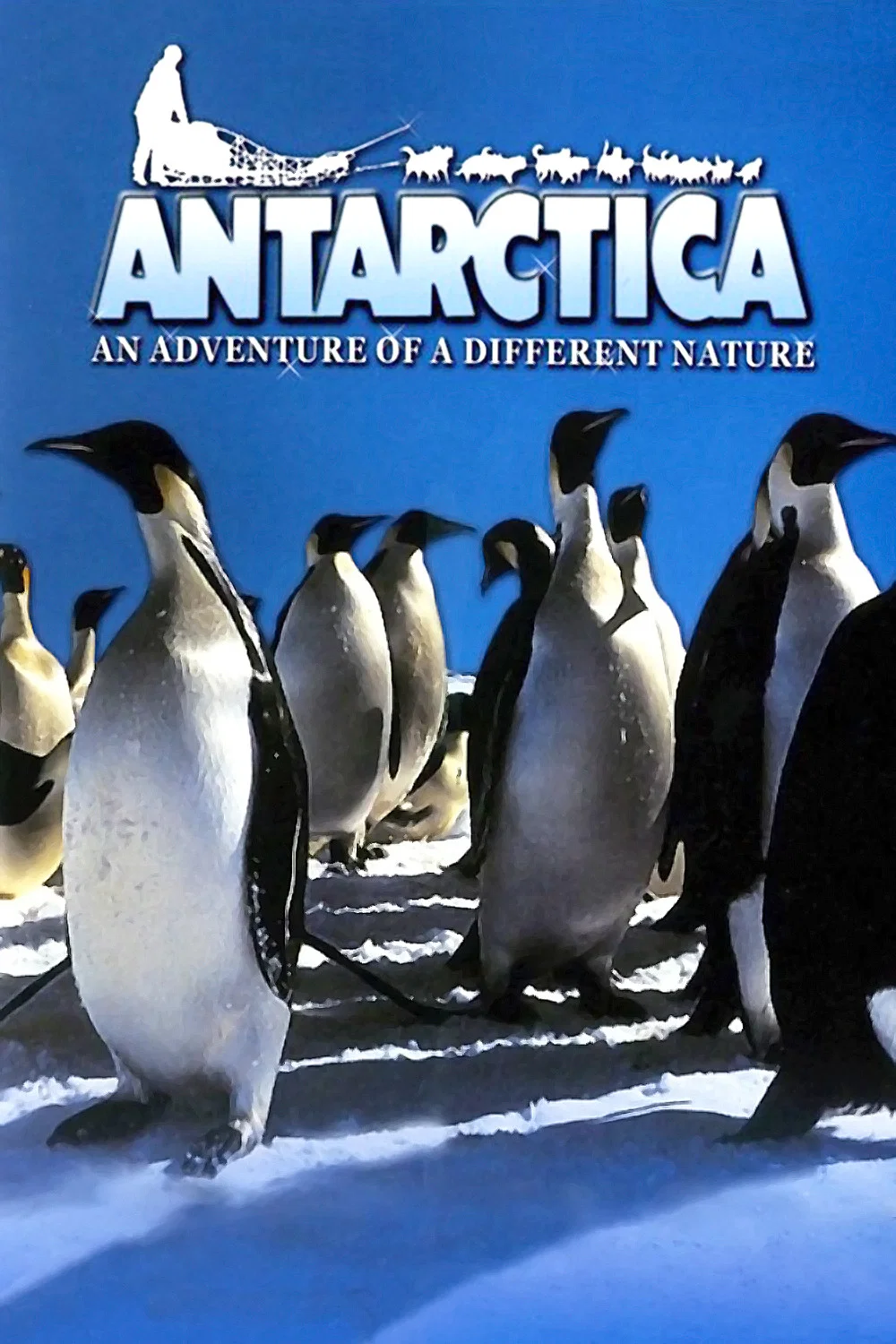 قطب جنوب (Antarctica)