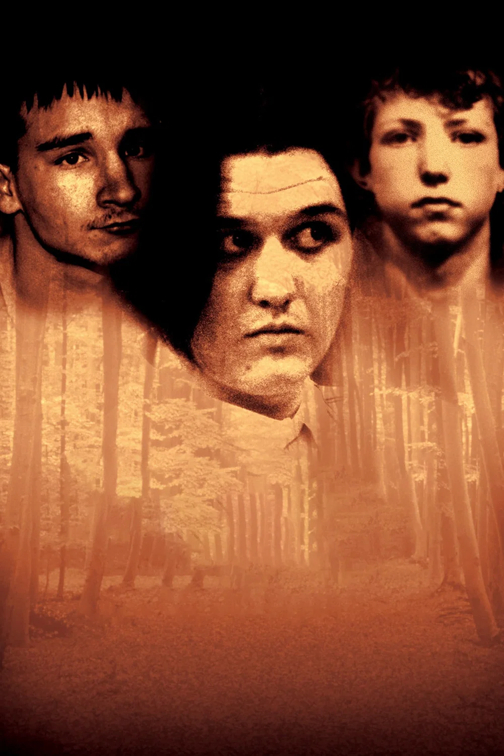 بهشت گمشده: قتل های کودکان در رابین هود هیلز (Paradise Lost: The Child Murders at Robin Hood Hills)