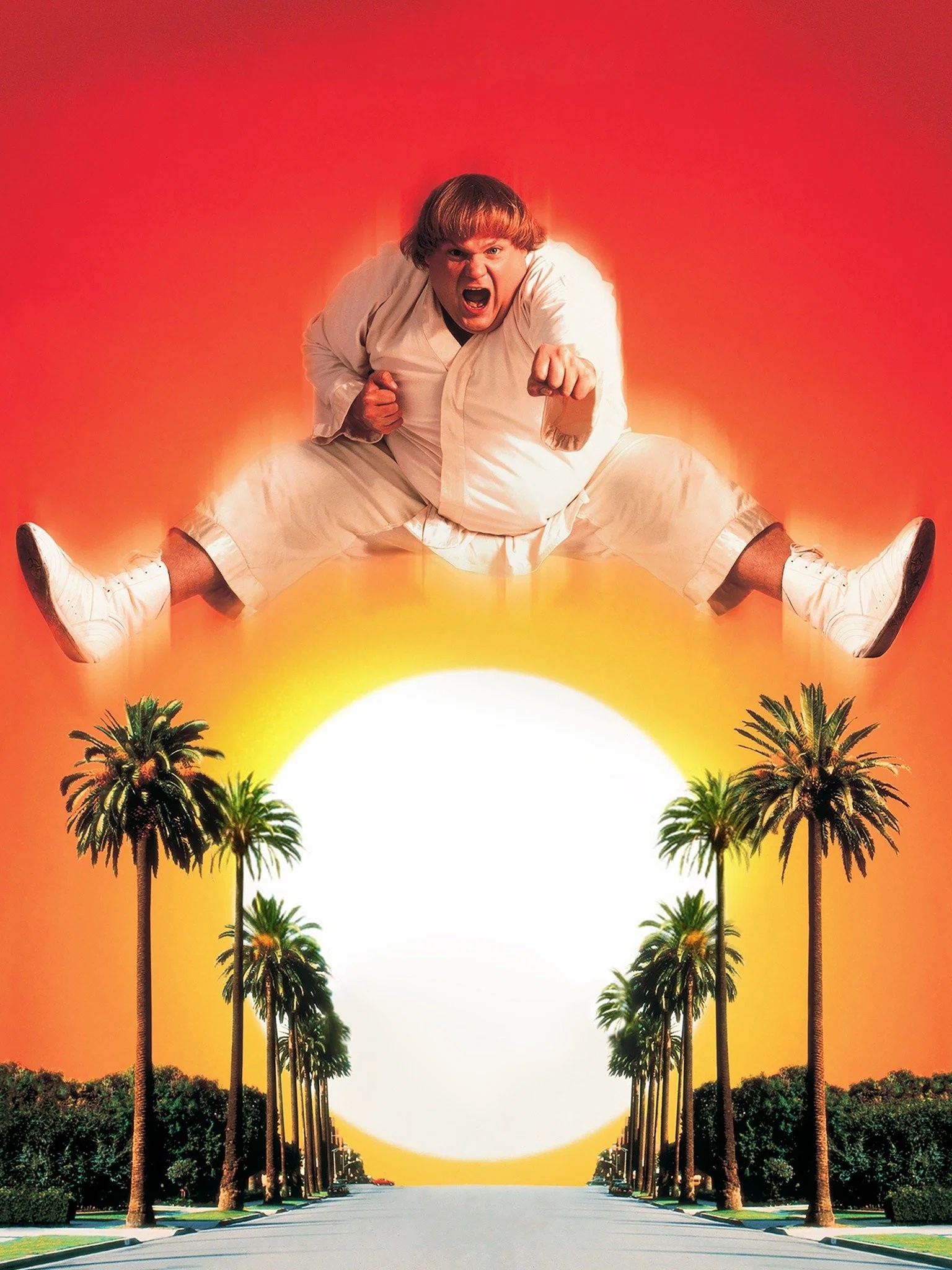 بورلی هیلز نینجا (Beverly Hills Ninja)
