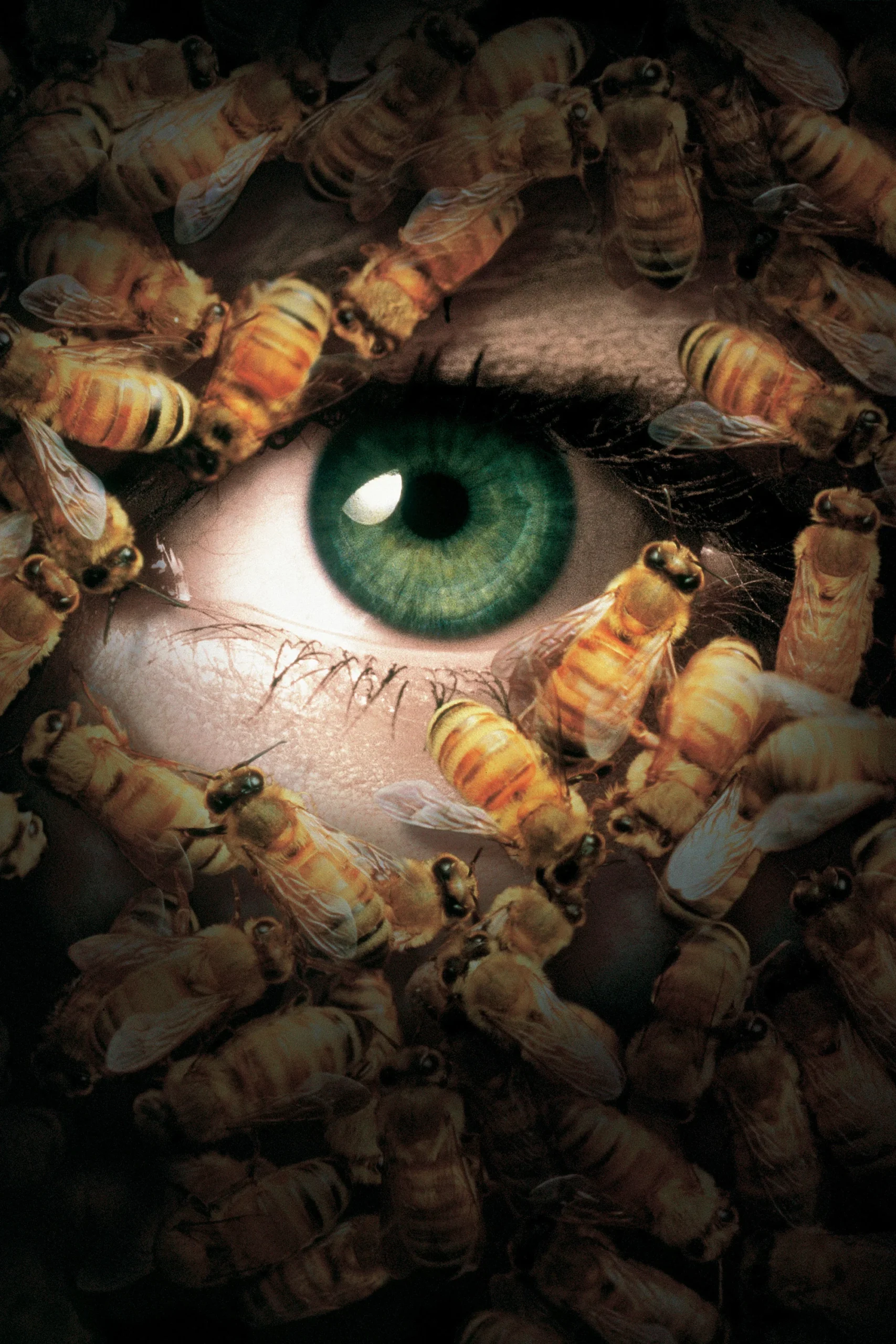 کندی من: روز مرگ (Candyman: Day of the Dead)