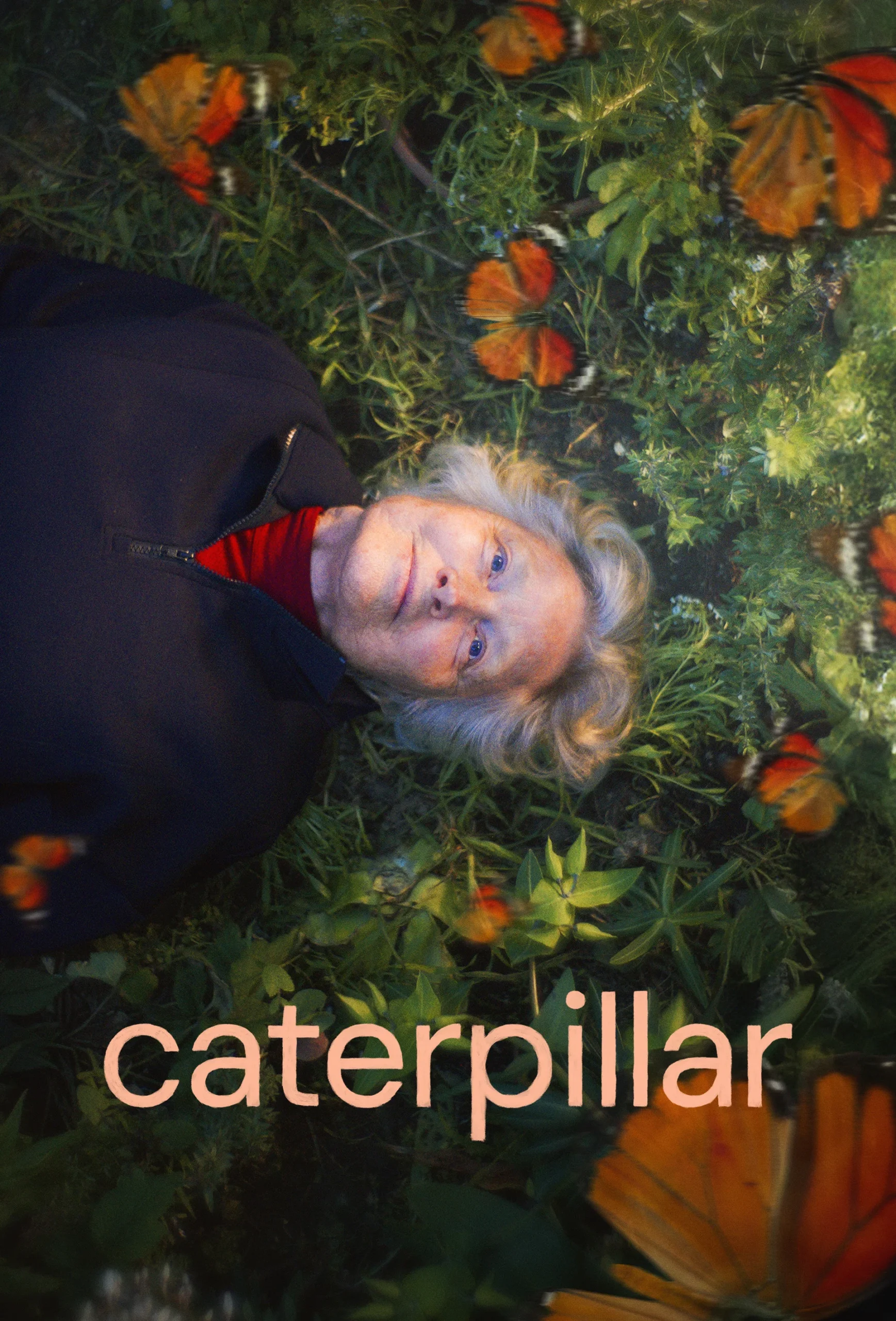 کرم پیله ساز (Caterpillar)